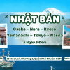 Tour Du Lịch Nhật Bản Cung Đường Vàng Mùa Thu: HCM - Osaka – Nara – Kyoto – Yamanashi – Tokyo – Narita 5N5Đ - Khách Sạn 3*